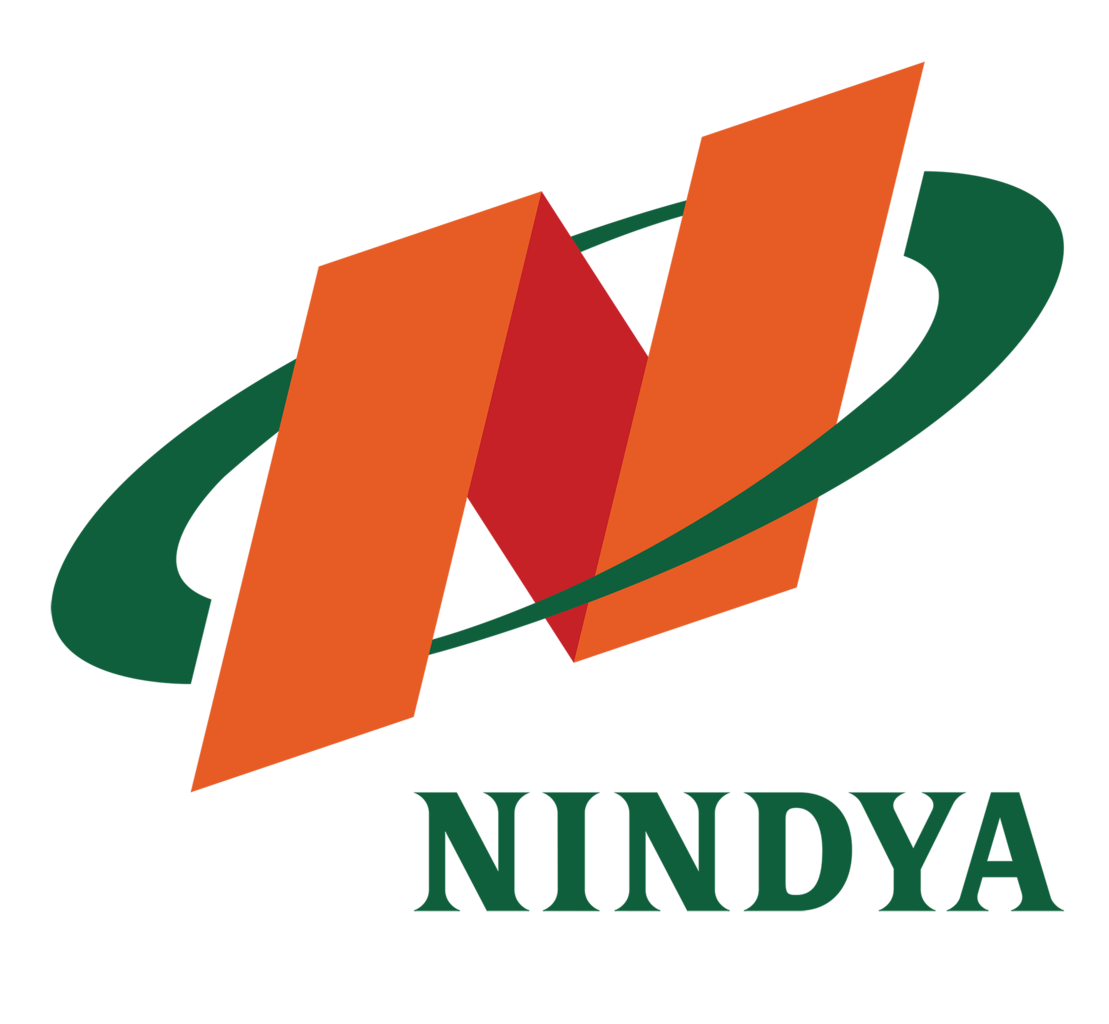 Nindya Karya(Persero), PT